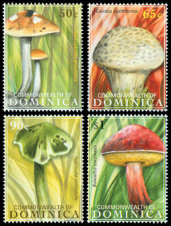DOMINIQUE - Champignons Leucopaxil.09 4v - 2.90�